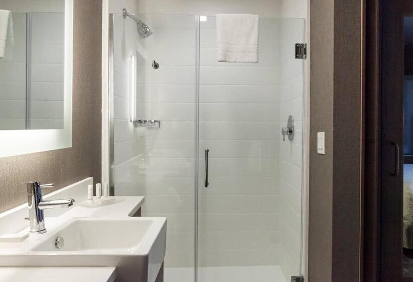 스탠다드 스튜디오 킹침대, Springhill Suites By Marriott Somerset Franklin Township