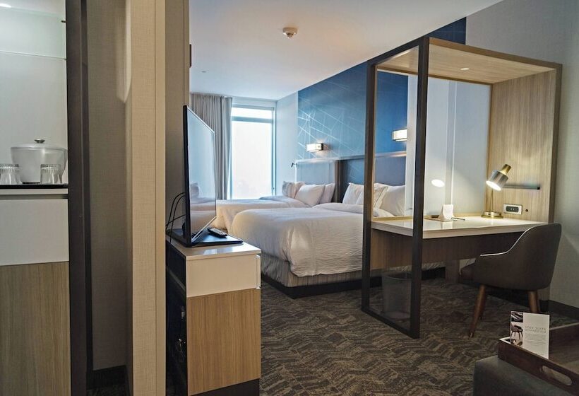 스탠다드 스튜디오, Springhill Suites By Marriott Somerset Franklin Township