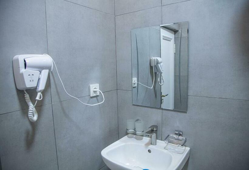 חדר סטנדרט, Lev Tolstoy