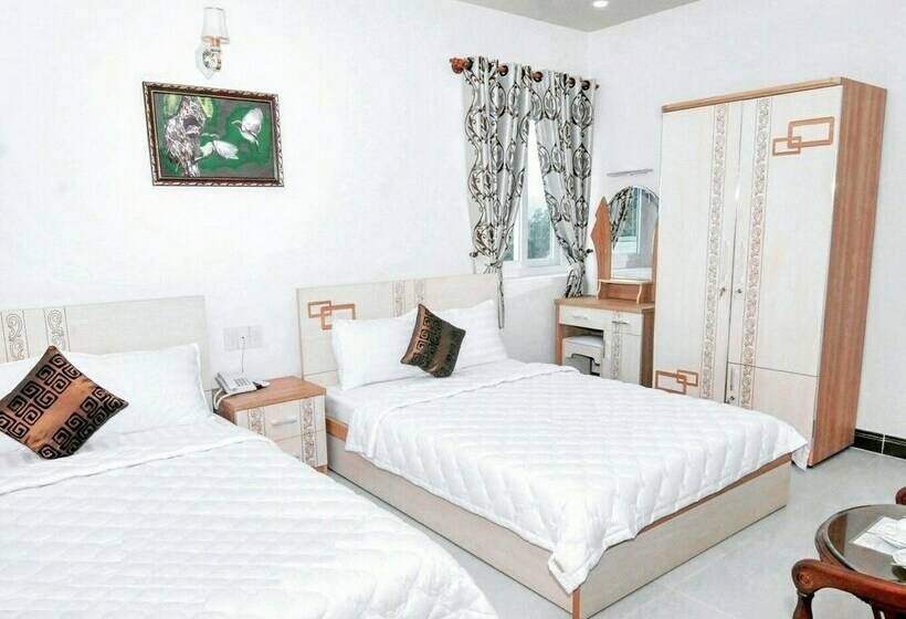 استودیوی لوکس, Jiny Tran