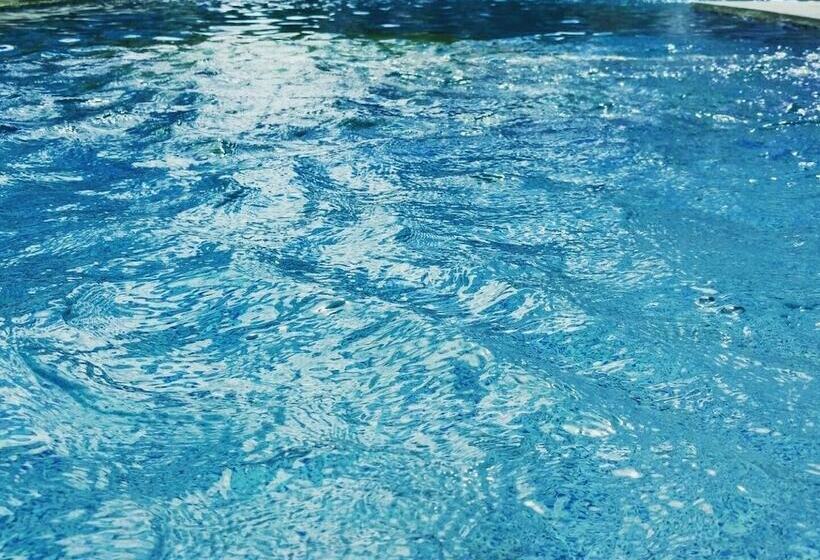 سوئیت خانواده 2 خوابه, Jiny Tran