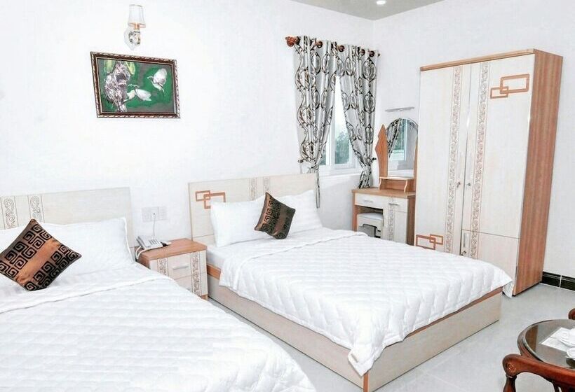 استودیوی لوکس, Jiny Tran