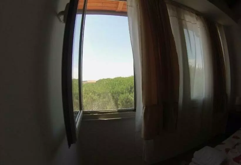 Habitació Estàndard, Princi I Vogel