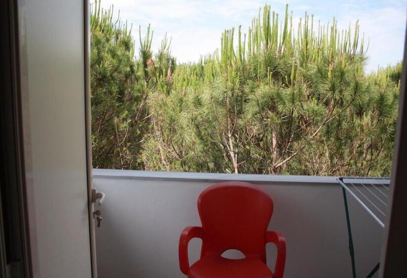 غرفة قياسية مزوَّدة بشُرفة, Princi I Vogel