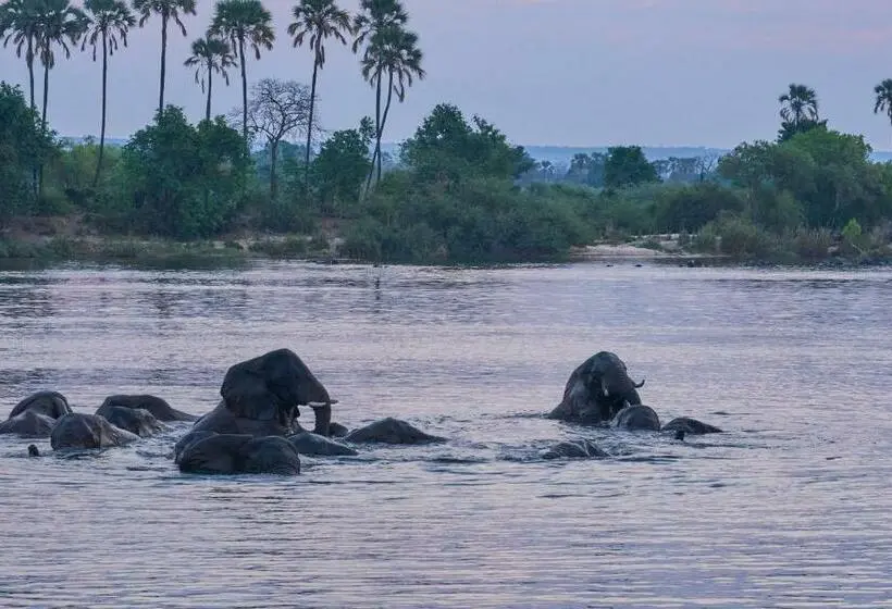 اتاق استاندارد چهار تخته, Zambezi Family Lodge Leopard Room