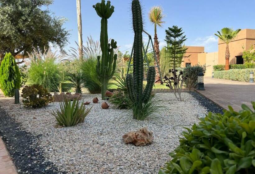 خانه 1 خوابه, Dar Fatima Tamazouzt