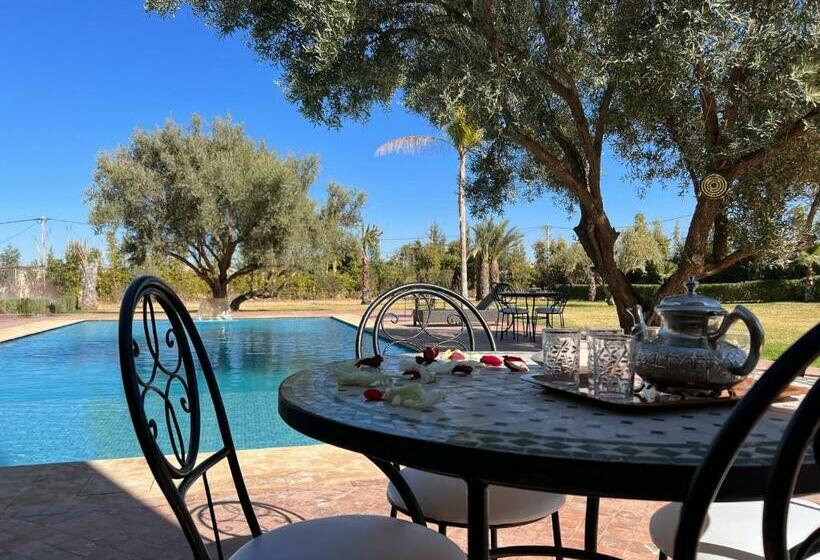 اتاق استاندارد با چشم‌انداز استخر, Dar Fatima Tamazouzt