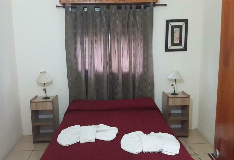 Номер Стандарт, Gran Continente