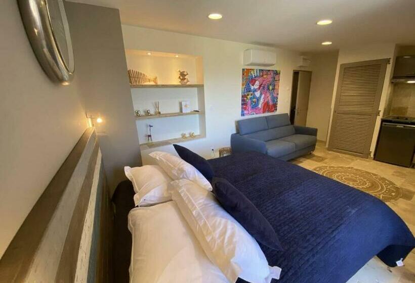 Студия Стандарт, L Arche De Porquerolles