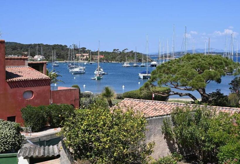 Студия Стандарт, L Arche De Porquerolles