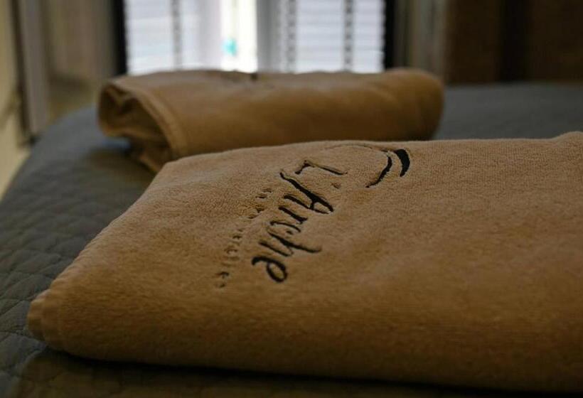 Студия Стандарт, L Arche De Porquerolles