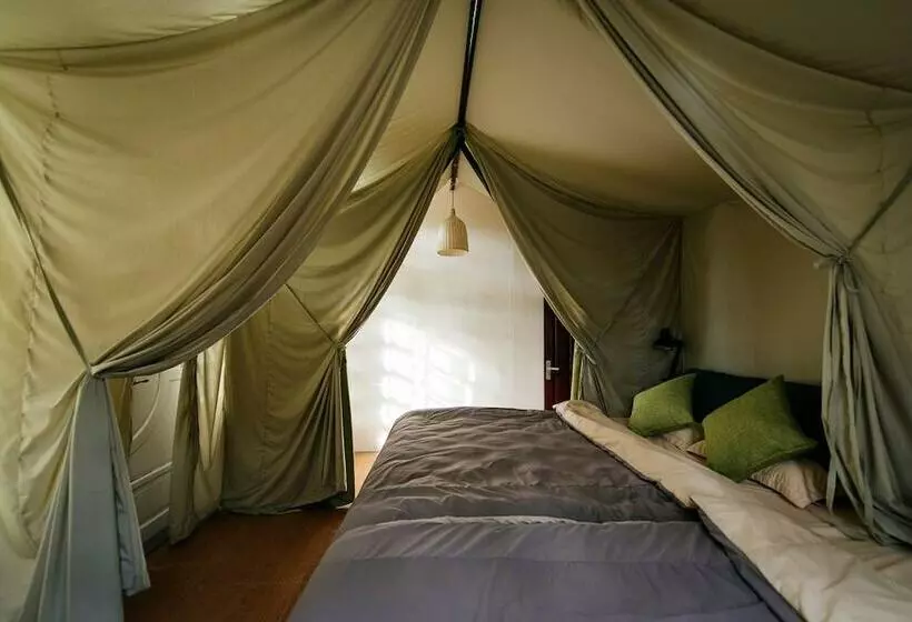 اتاق استاندارد, Yolo Camping House   Hostel