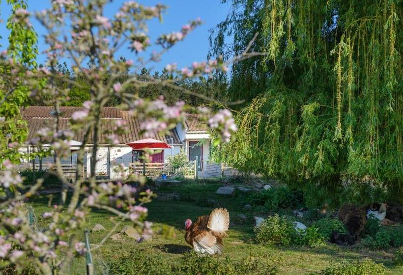 带大床的标准工作室, La Chevrerie