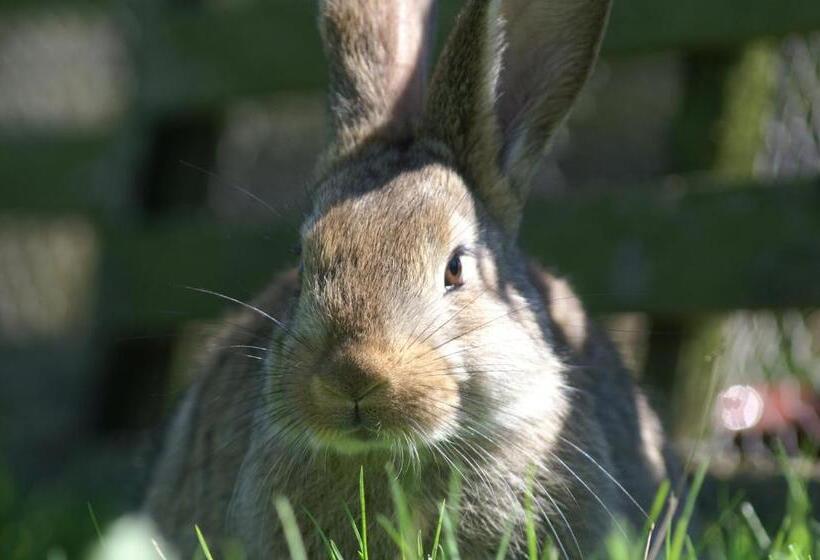 标准间, La Chevrerie