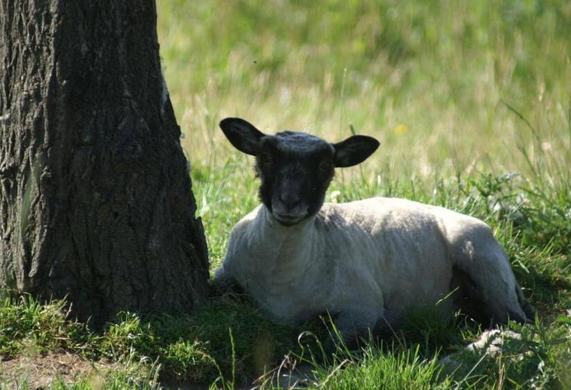 带大床的标准工作室, La Chevrerie