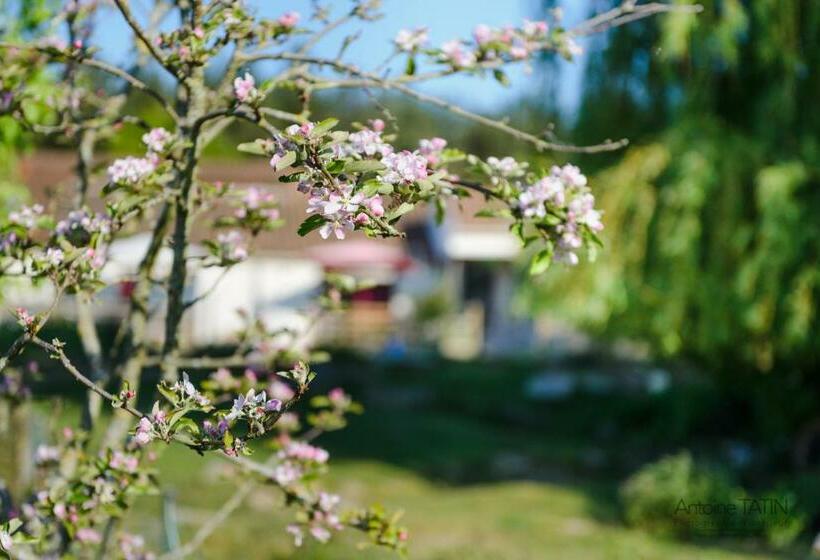 四人标准间, La Chevrerie