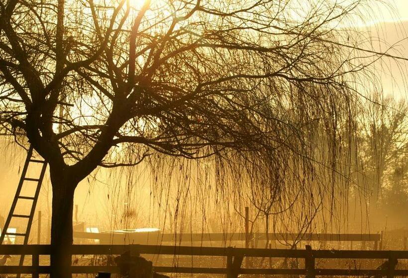 四人标准间, La Chevrerie