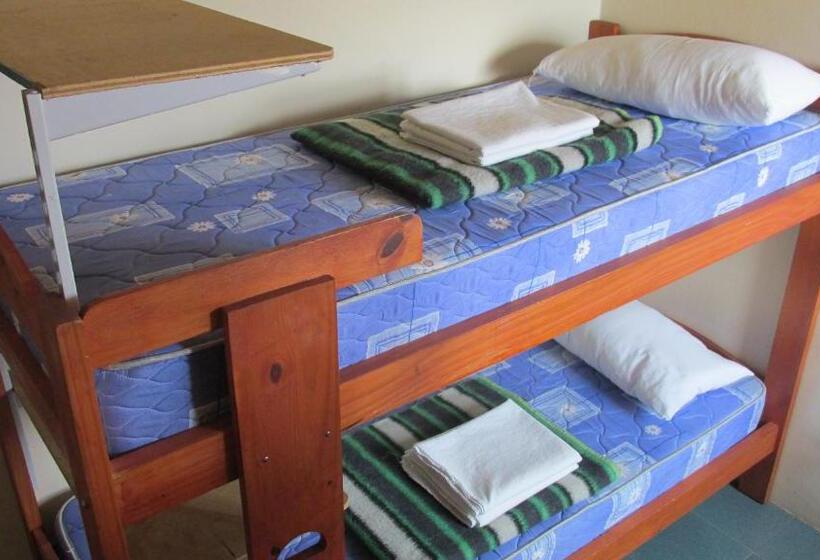 ルームシェアのワンベッド, Hostel Aves Del Lago