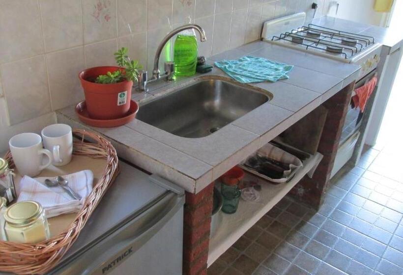 庭の見える1ベッドルームアパートメント, Hostel Aves Del Lago