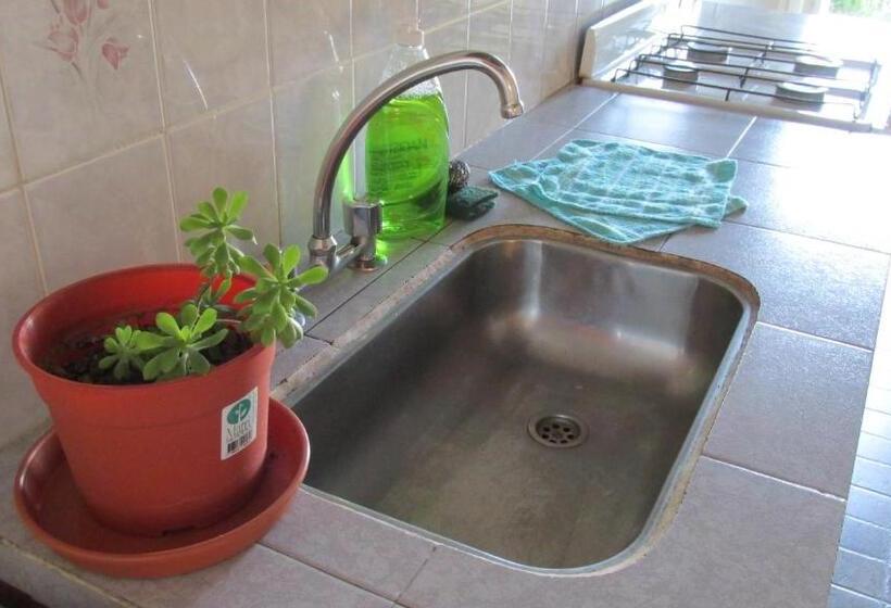 庭の見える1ベッドルームアパートメント, Hostel Aves Del Lago