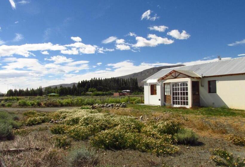 浴室共有スタンダード4人用ルーム, Hostel Aves Del Lago