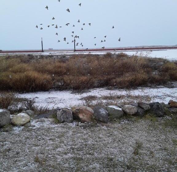 スタンダード4人部屋, Hostel Aves Del Lago