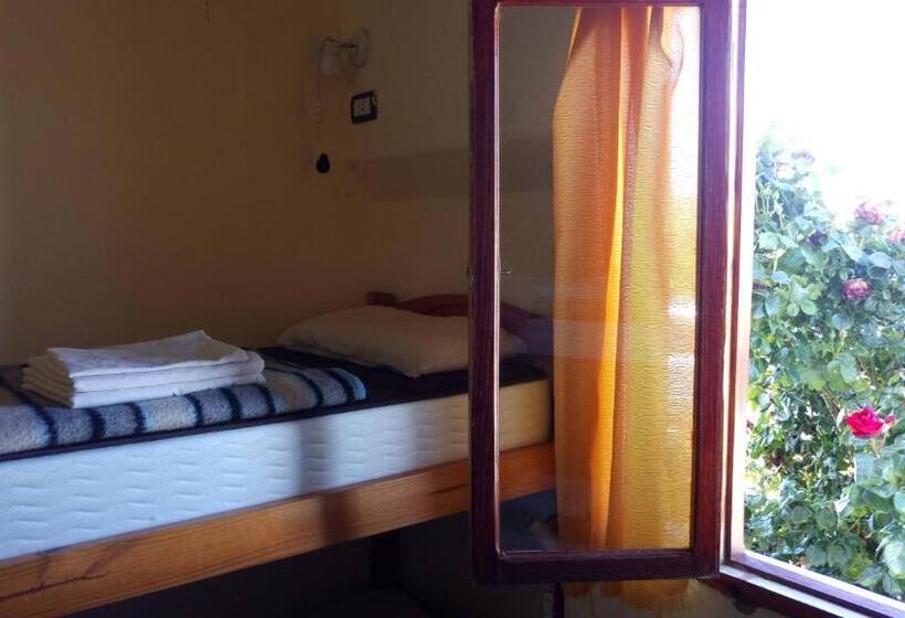 ルームシェアのワンベッド, Hostel Aves Del Lago