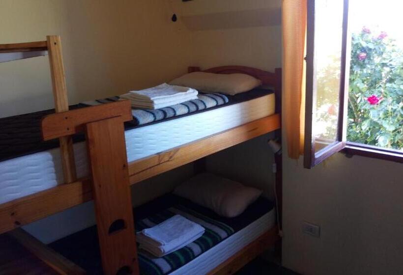 ルームシェアのワンベッド, Hostel Aves Del Lago