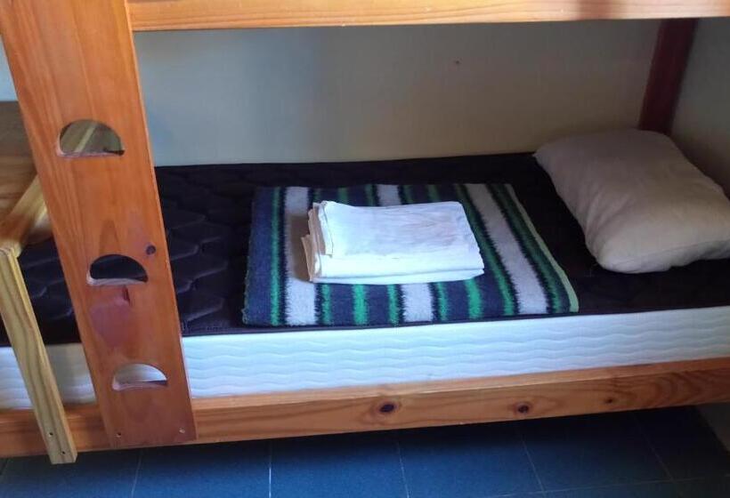 ルームシェアのワンベッド, Hostel Aves Del Lago