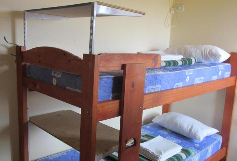 浴室共有スタンダード４人用ルーム, Hostel Aves Del Lago