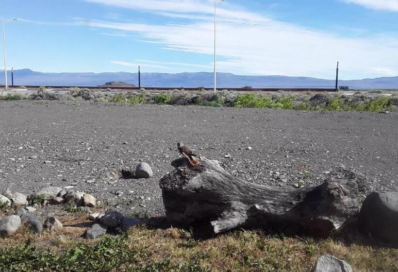 バス共有のスタンダードルーム, Hostel Aves Del Lago