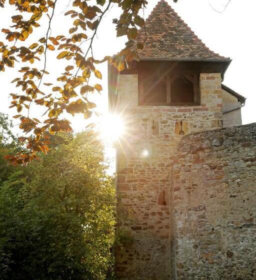 חדר קומפורט, Altstadthof Freinsheim