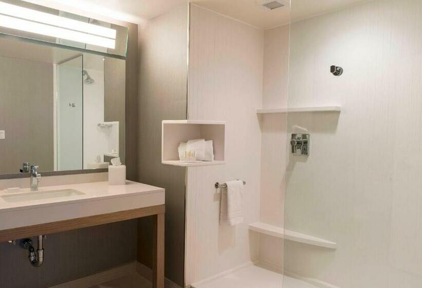 Стандартный Номер Кровать Кинг, Courtyard By Marriott Mt. Pleasant At Central Michigan University