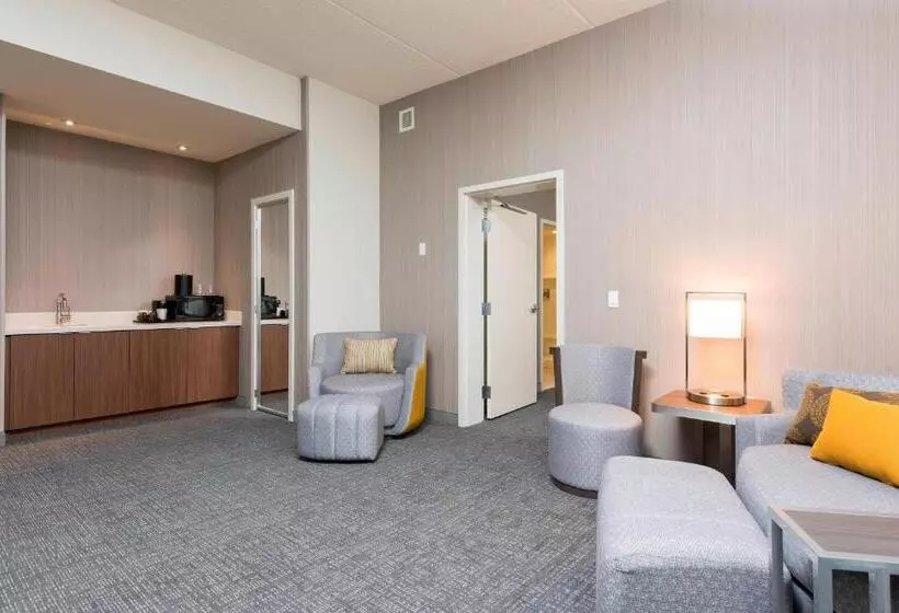 スイート, Courtyard By Marriott Mt. Pleasant At Central Michigan University
