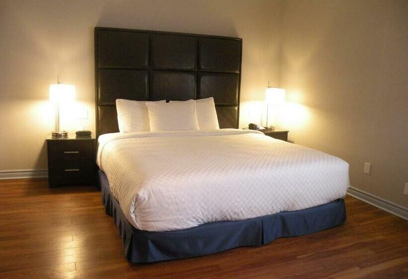 ジュニアスイート, Newstar Montreal