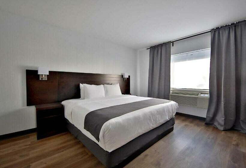 キングサイズベッドのスタンダードルーム, Newstar Montreal