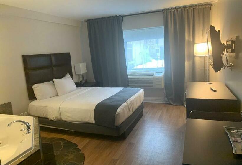 ジュニアスイート, Newstar Montreal
