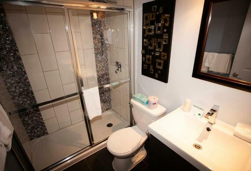 スイート, Newstar Montreal