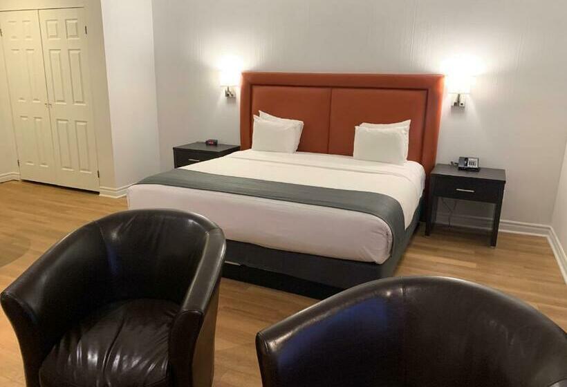 スイート, Newstar Montreal