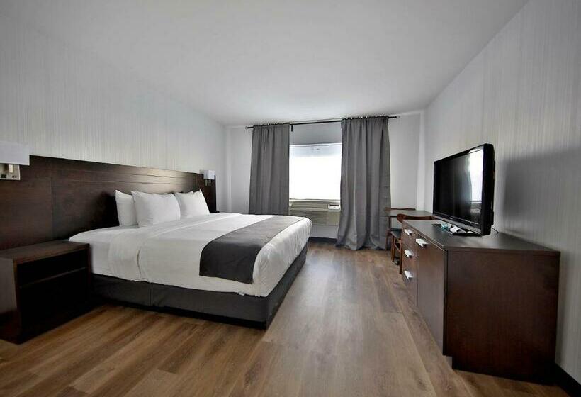 キングサイズベッドのスタンダードルーム, Newstar Montreal