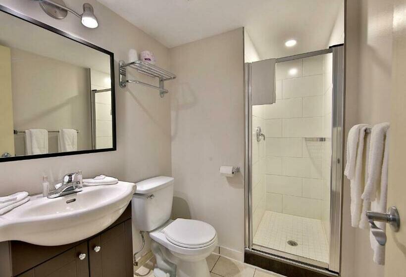 スタンダードルーム, Newstar Montreal