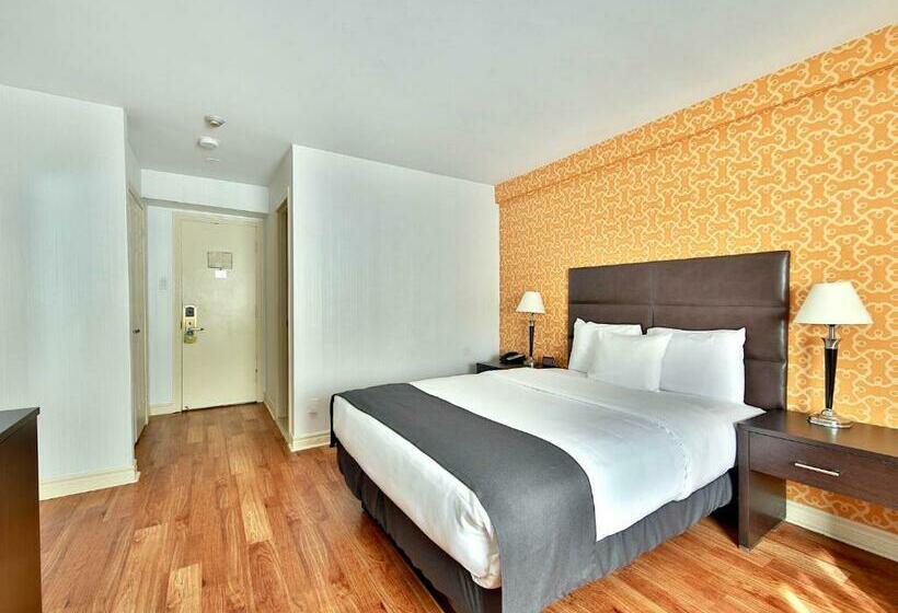 スタンダードルーム, Newstar Montreal