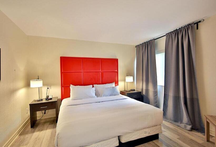 スイート, Newstar Montreal