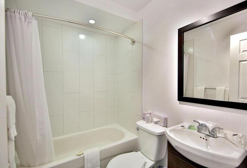 ２ダブルベッドのスタンダードルーム, Newstar Montreal