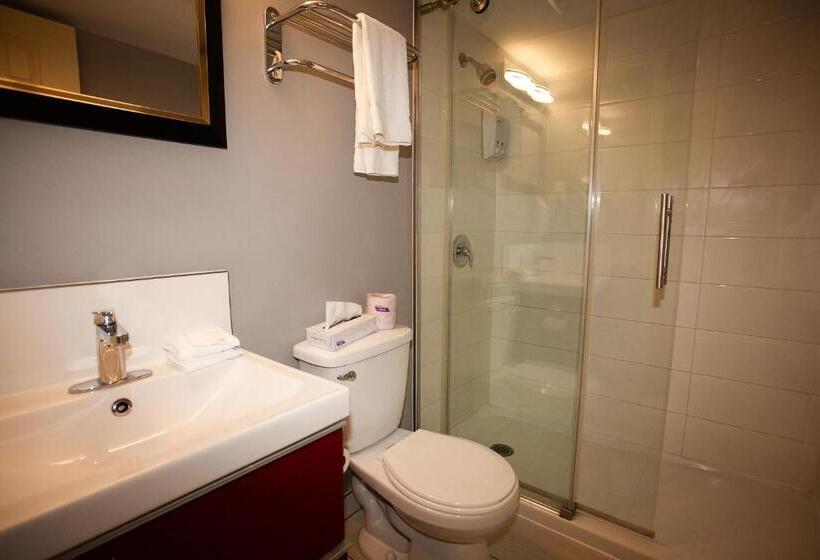 スーペリアールーム, Newstar Montreal