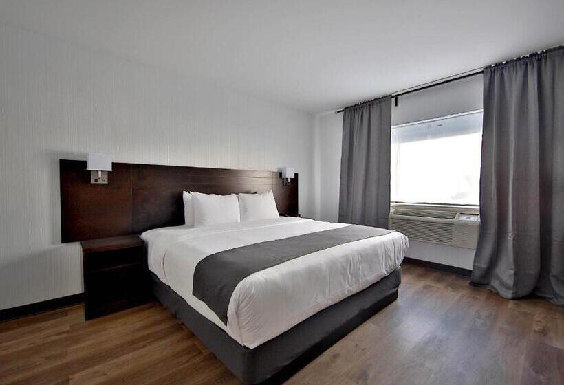 キングサイズベッドのスーペリアルーム, Newstar Montreal