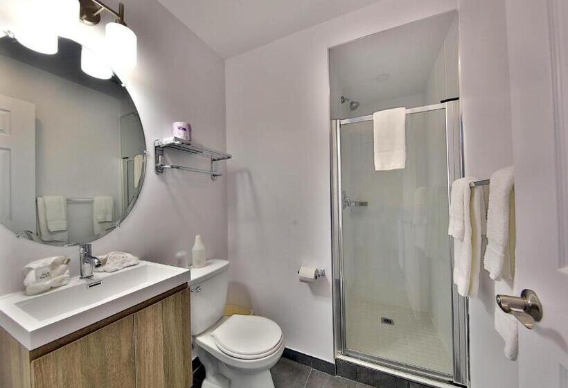 ファミリールーム, Newstar Montreal