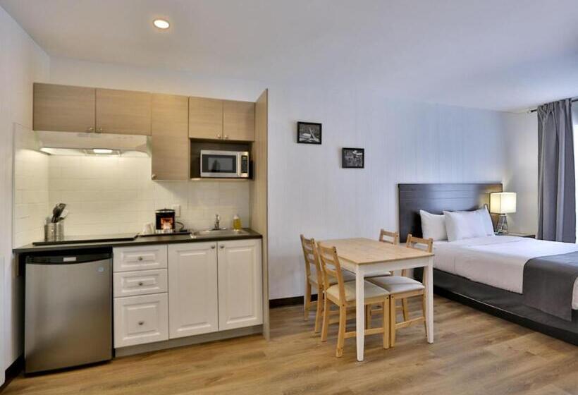 ファミリールーム, Newstar Montreal