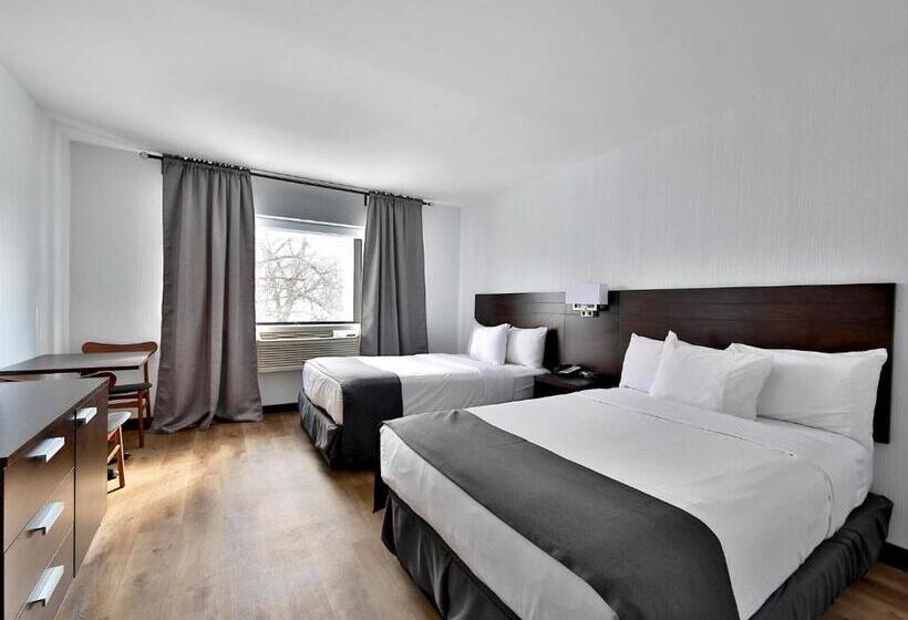 スタンダード４人部屋, Newstar Montreal