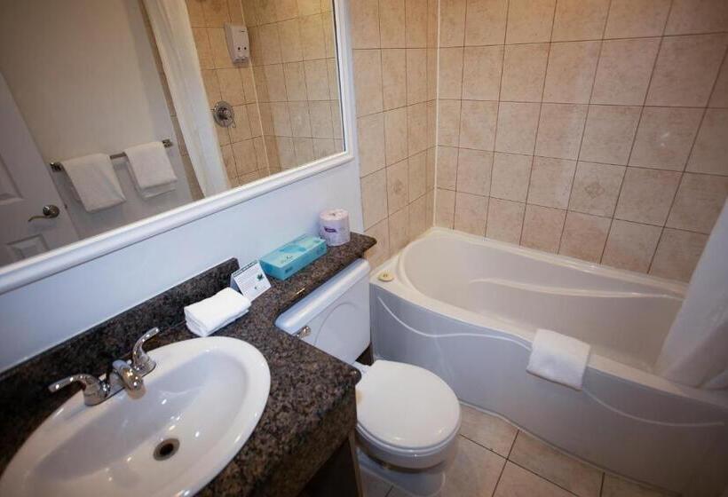 キングサイズベッドのスタンダードルーム, Newstar Montreal